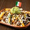 BIRRIA FRIES